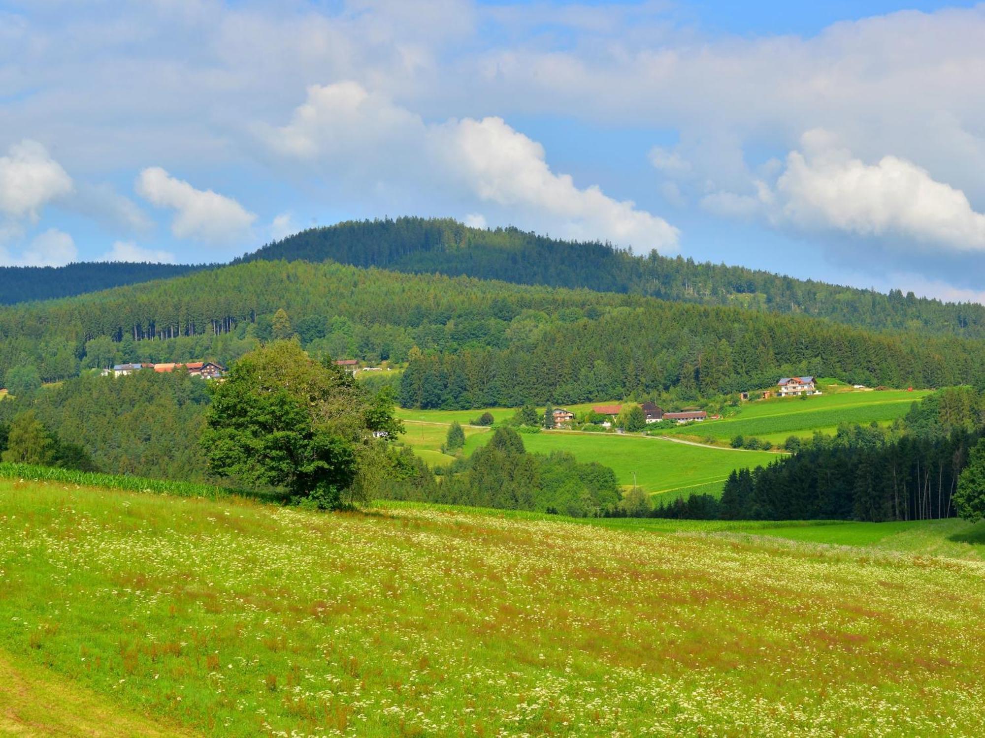 Comfort Apartment With Balcony In The Beautiful Bavarian Forest 드라흐젤스리에트 외부 사진