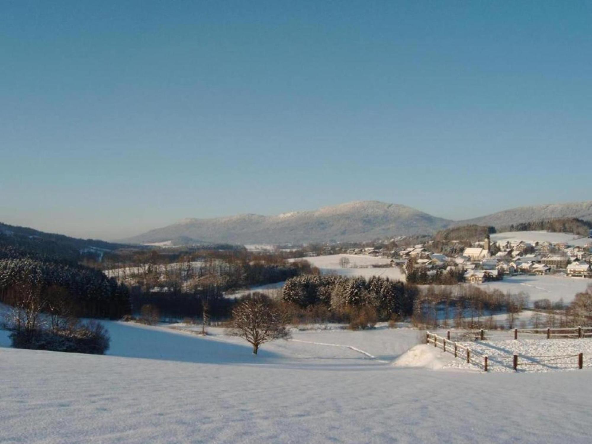 Comfort Apartment With Balcony In The Beautiful Bavarian Forest 드라흐젤스리에트 외부 사진