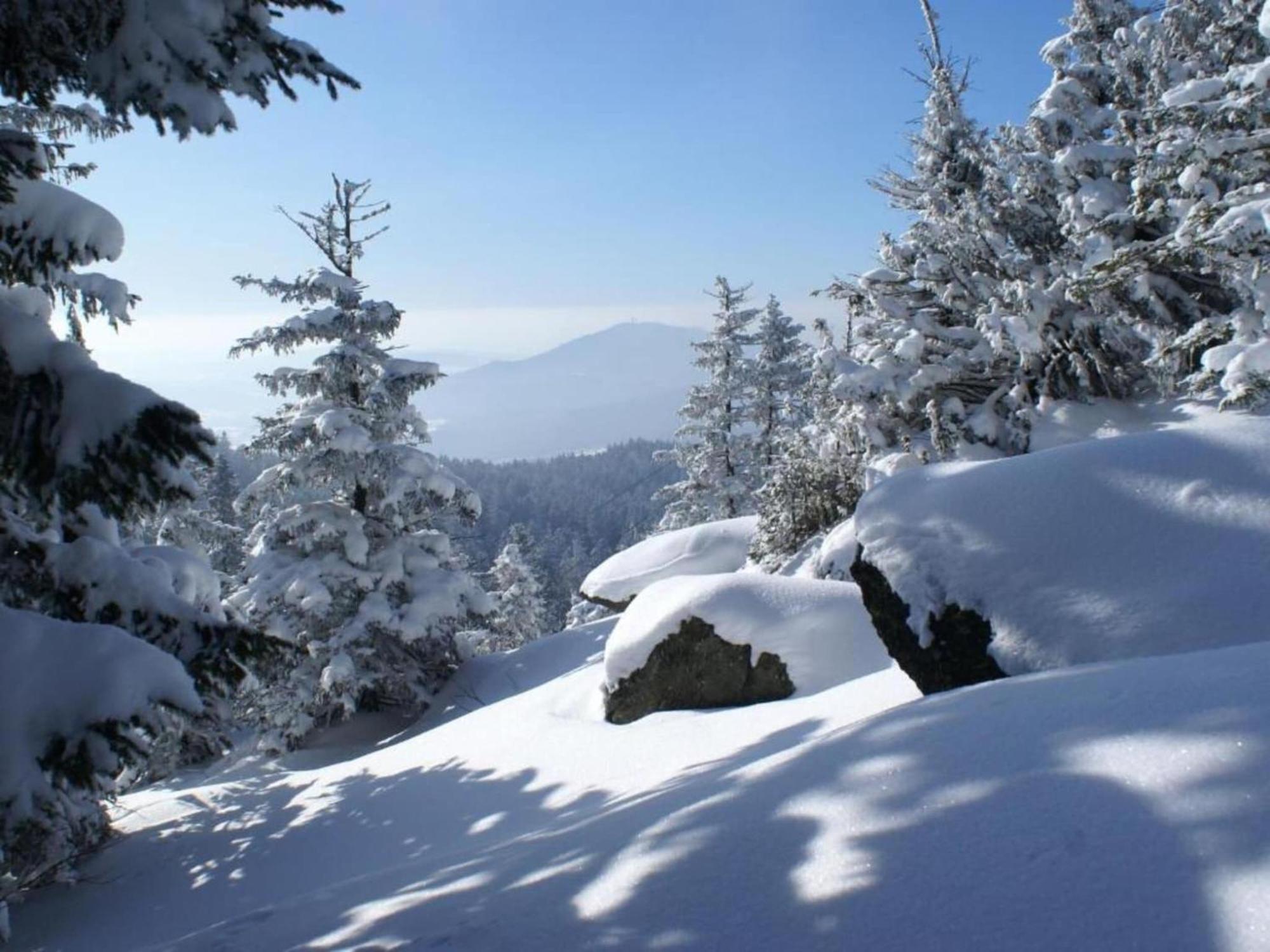 Comfort Apartment With Balcony In The Beautiful Bavarian Forest 드라흐젤스리에트 외부 사진