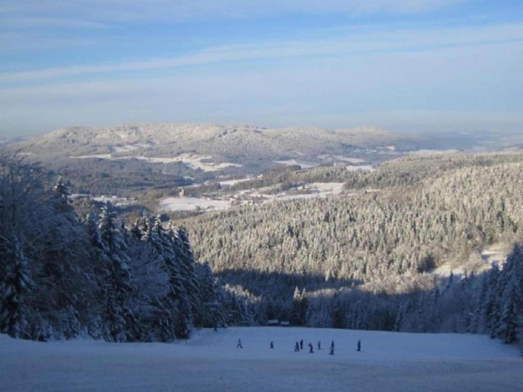 Comfort Apartment With Balcony In The Beautiful Bavarian Forest 드라흐젤스리에트 외부 사진