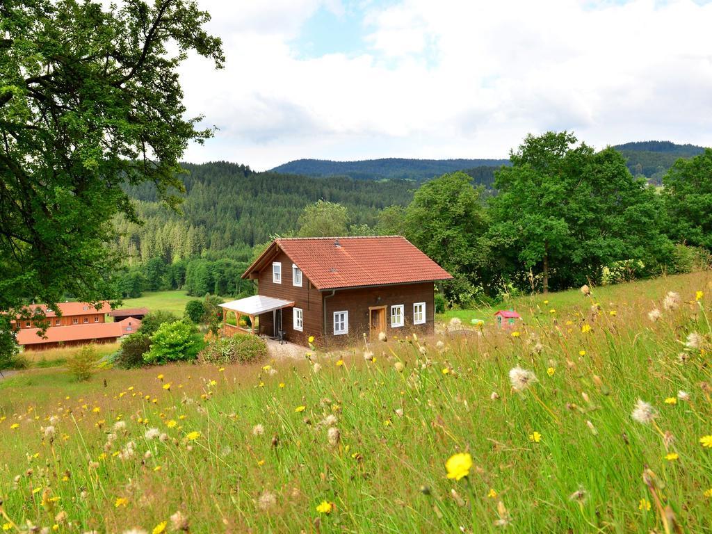 Comfort Apartment With Balcony In The Beautiful Bavarian Forest 드라흐젤스리에트 외부 사진